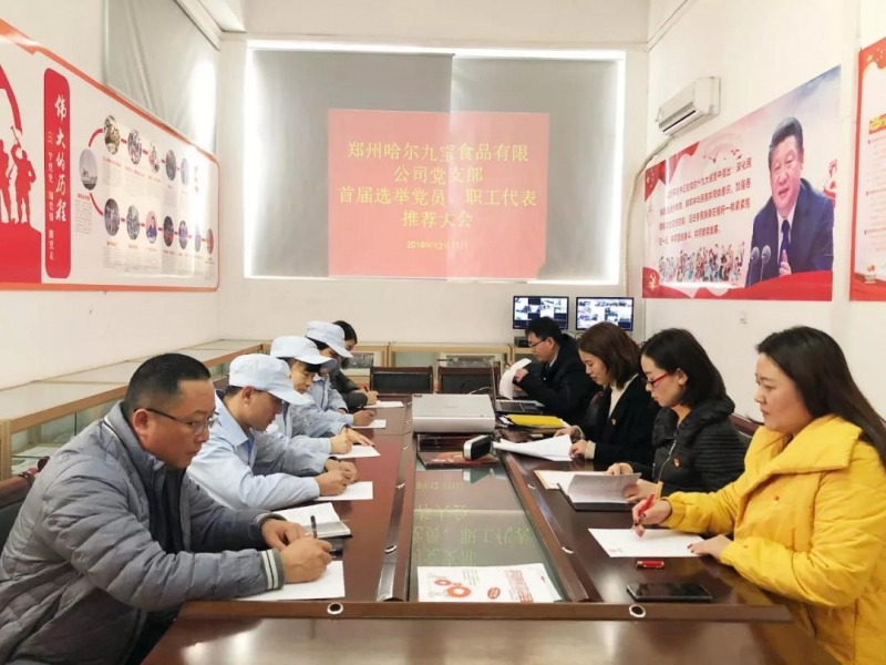 DB真人旗舰官网党支部，，首届选举党员、、职工代表推荐大会